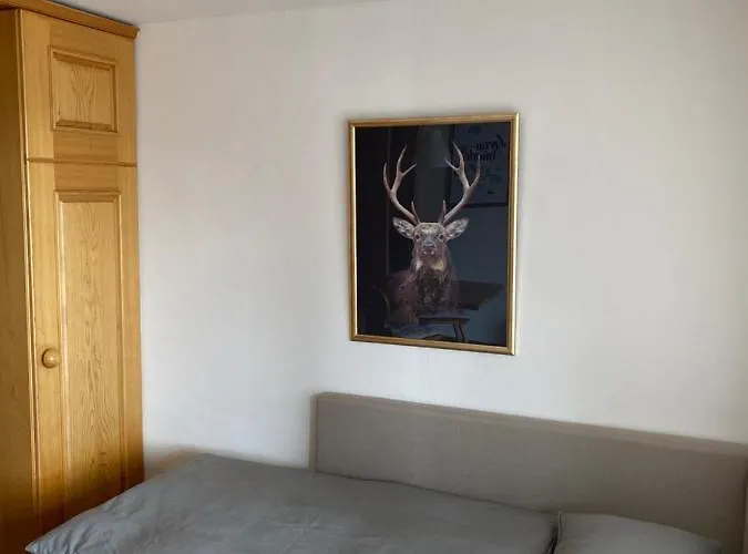 Moderne In - Modern In Laax